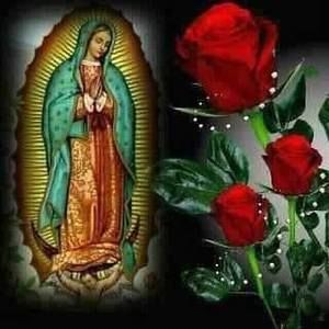 Meet your Posher, M isabell